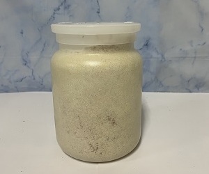 カワラタケB100 PP800