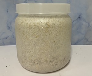 カワラタケB100 PP1400